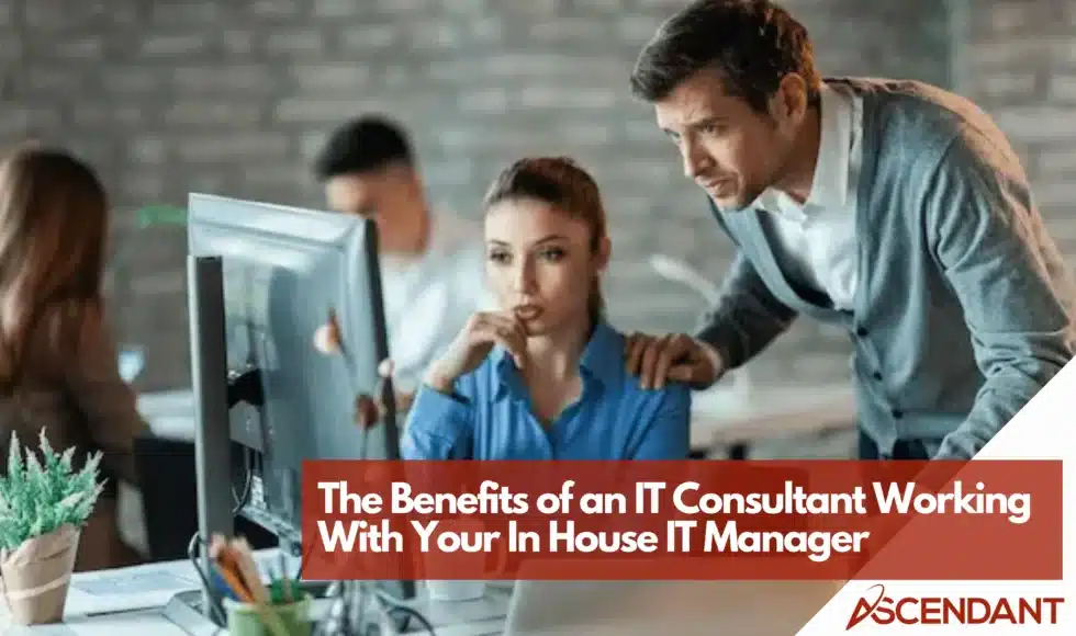 The Benefits of an IT Consultant Working With Your In House IT Manager