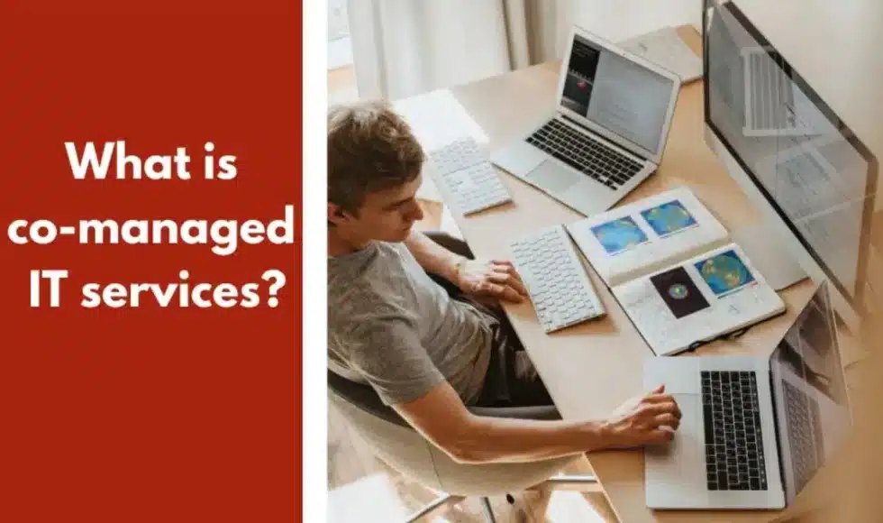 What is co-managed it services?