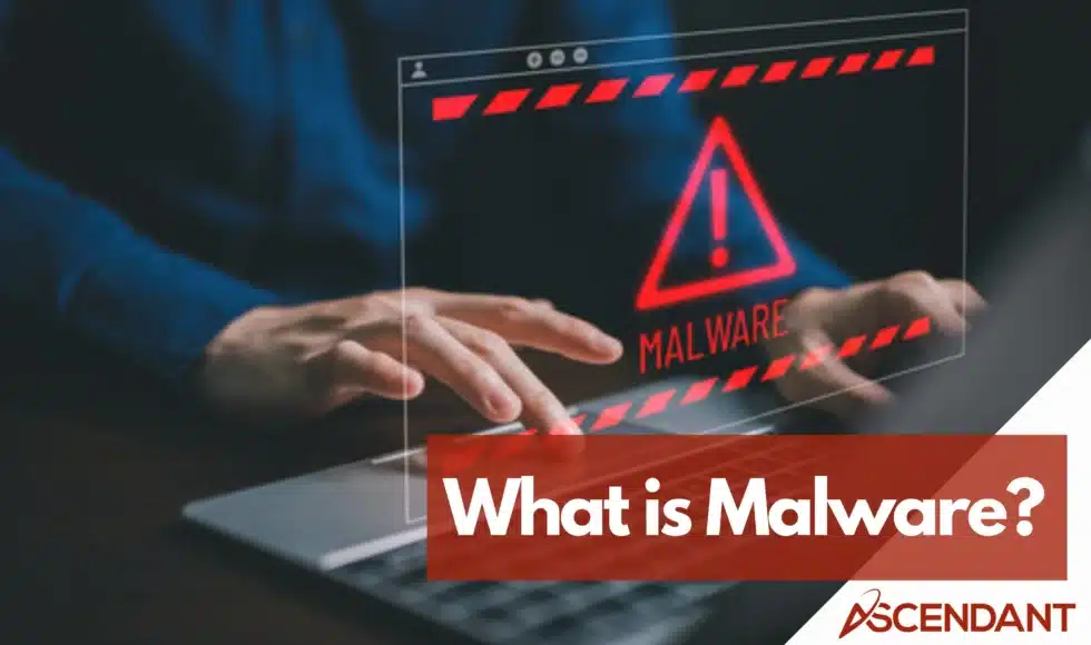What is Malware?