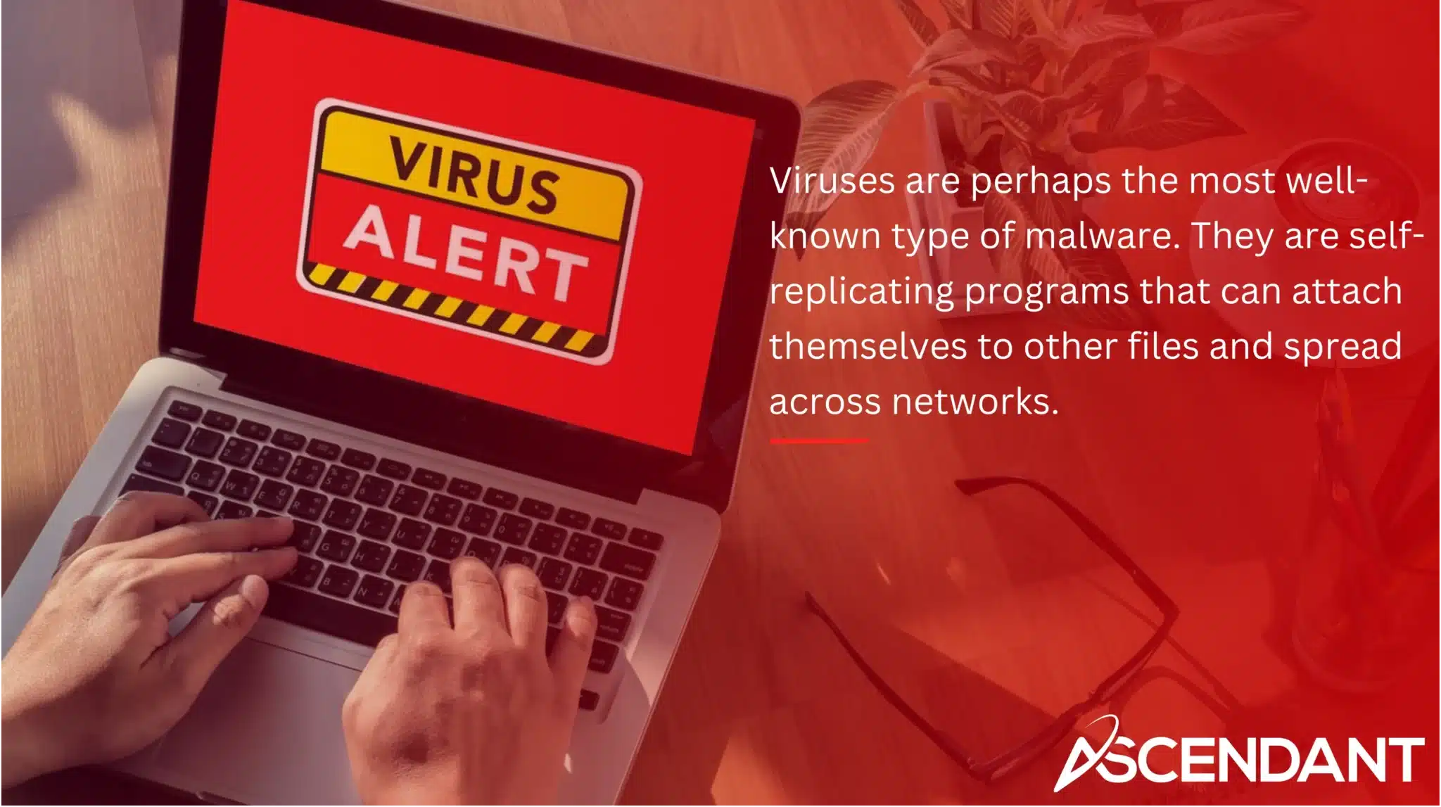 Viruses are perhaps the most well-known type of malware. They are self-replicating programs that can attach themselves to other files and spread across networks. 