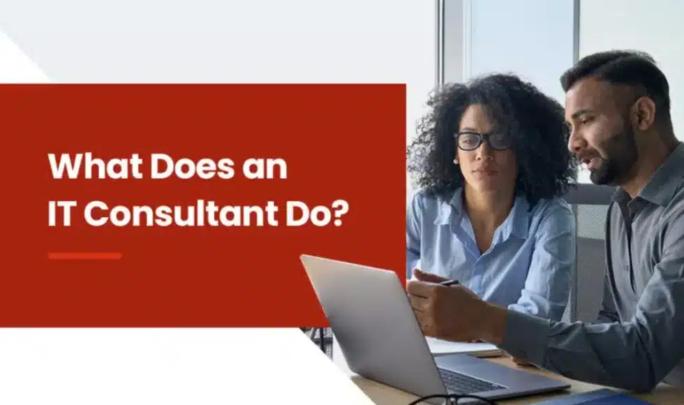 What Does an IT Consultant Do?