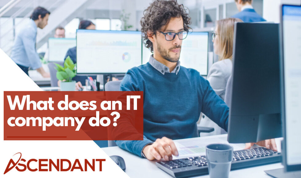 What does an IT company do