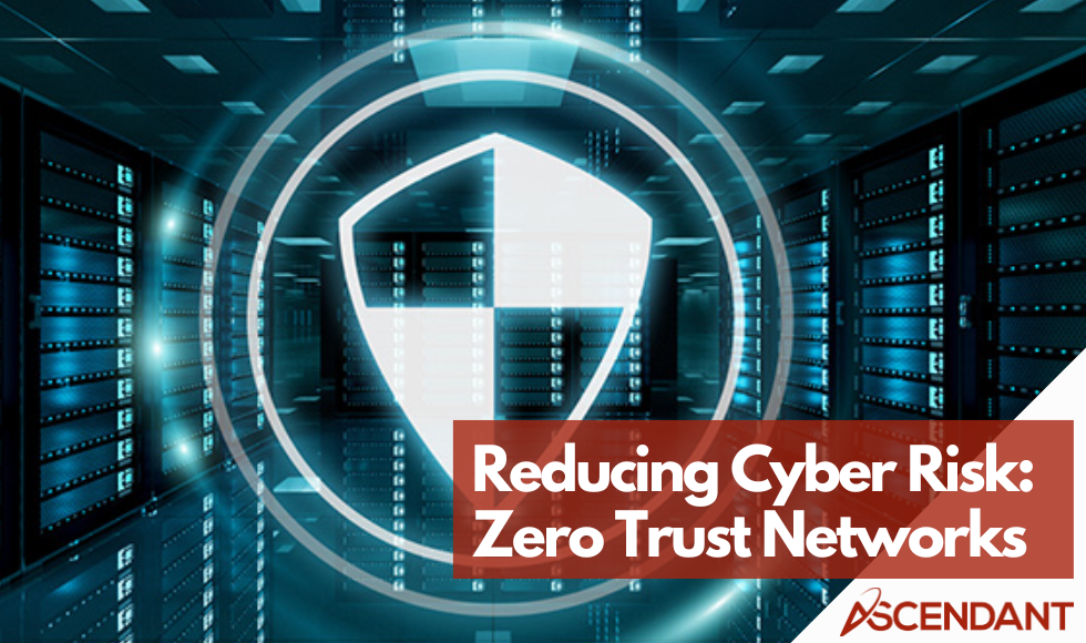 Reducing Cyber Risk: Zero Trust Networks