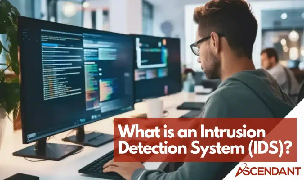 What is an Intrusion Detection System?