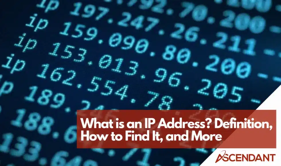 What is an IP Address Definition, How to Find It, and More