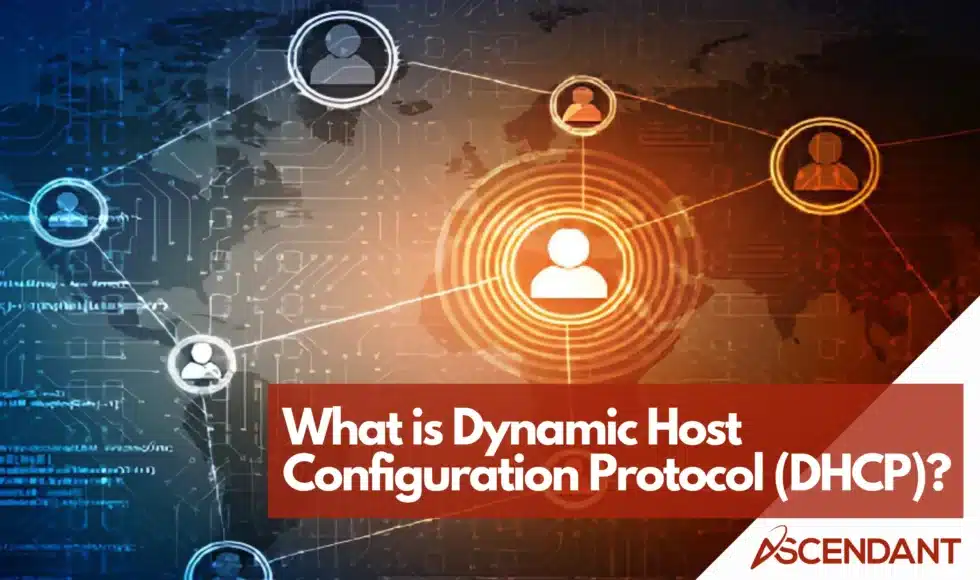What is Dynamic Host Configuration Protocol (DHCP)?