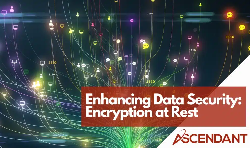 Enhancing Data Security: Encryption at Rest