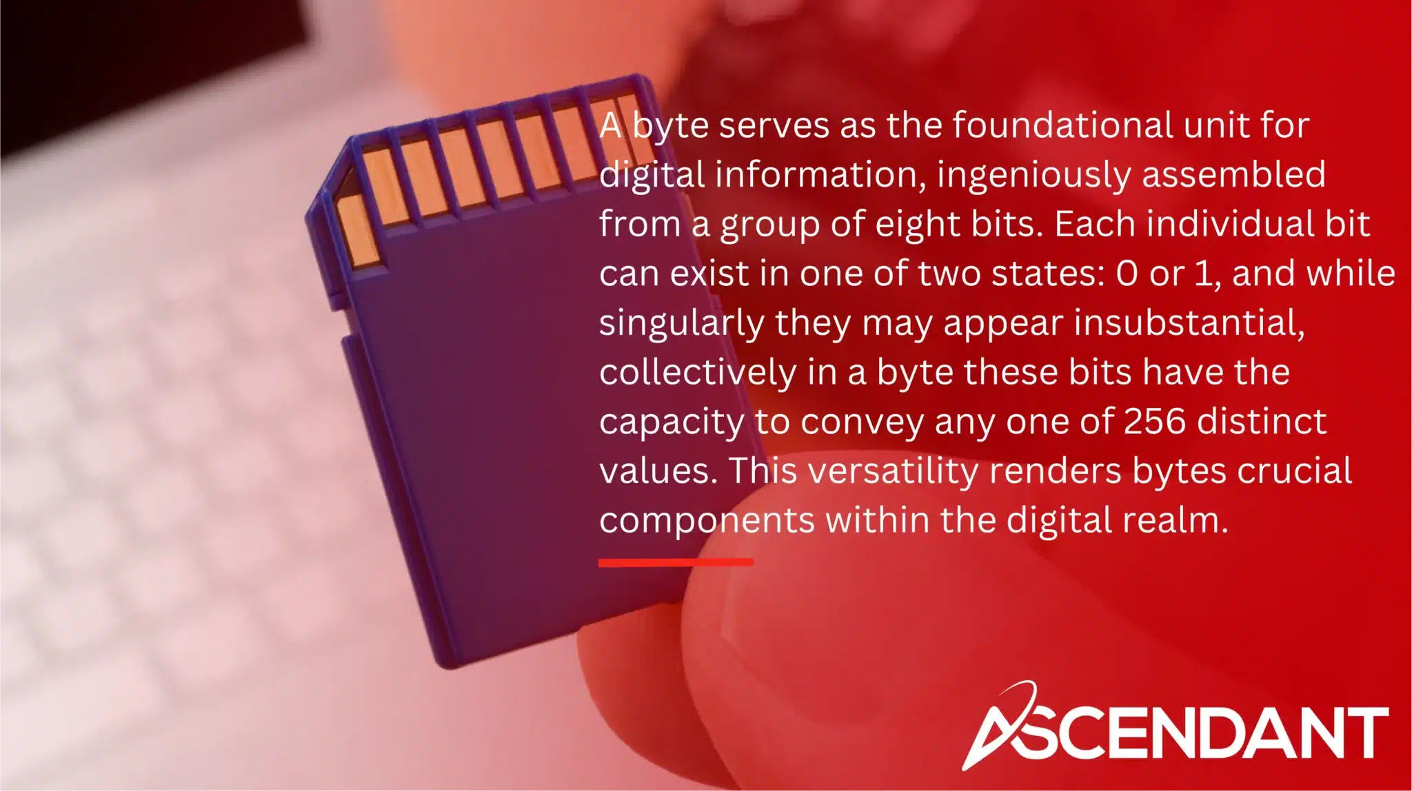 A byte serves as the foundational unit for digital information, ingeniously assembled from a group of eight bits. Each individual bit can exist in one of two states: 0 or 1, and while singularly they may appear insubstantial, collectively in a byte these bits have the capacity to convey any one of 256 distinct values. This versatility renders bytes crucial components within the digital realm.