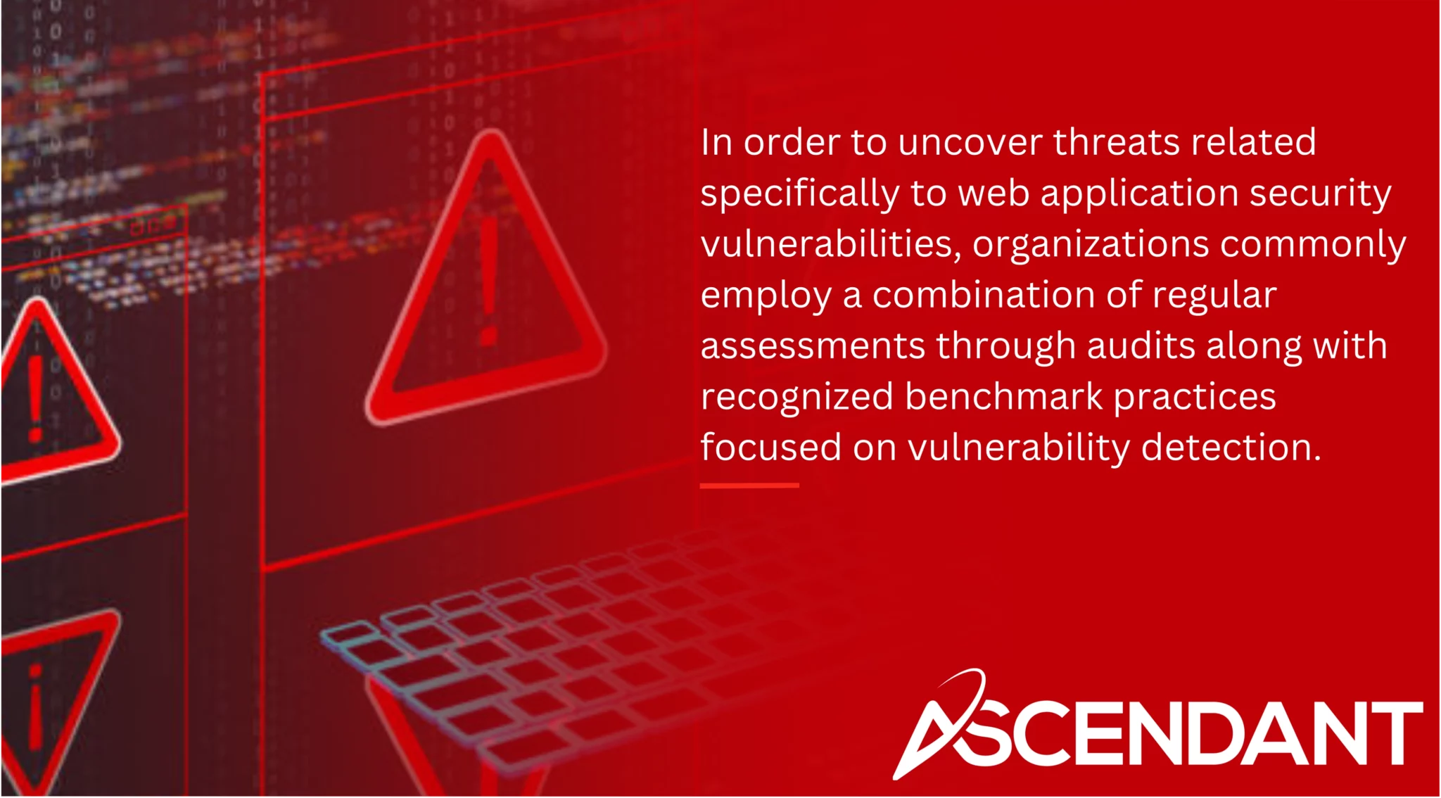 In order to uncover threats related specifically to web application security vulnerabilities, organizations commonly employ a combination of regular assessments through audits along with recognized benchmark practices focused on vulnerability detection. 