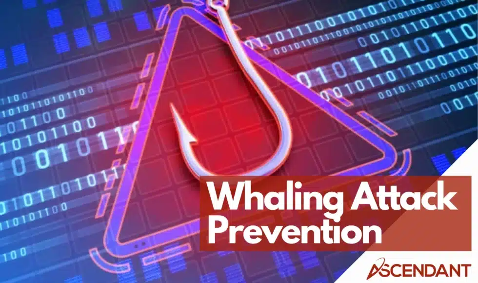 Whaling Attack Prevention