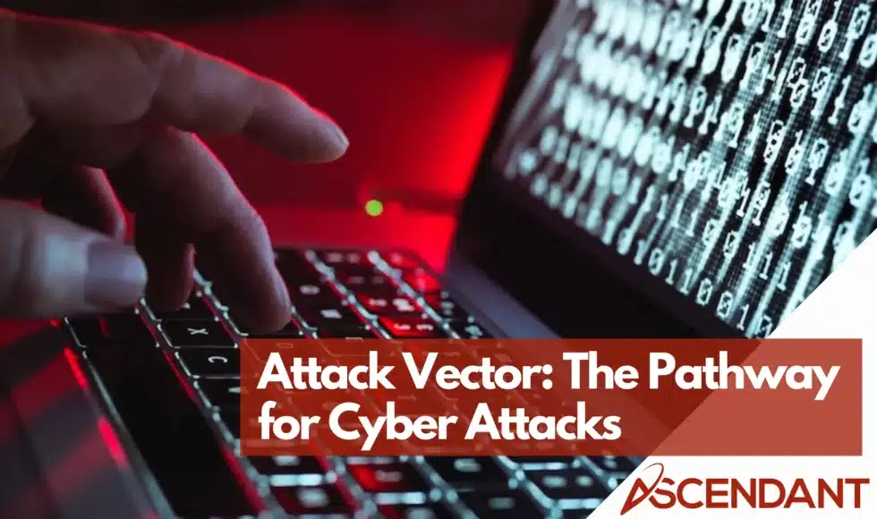 Attack Vector: The Pathway for Cyber Attacks