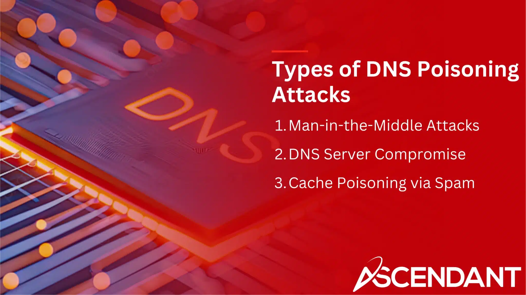 Types of DNS Poisoning Attacks
1. Man-in-the-Middle Attacks
2. DNS Server Compromise
3. Cache Poisoning via Spam