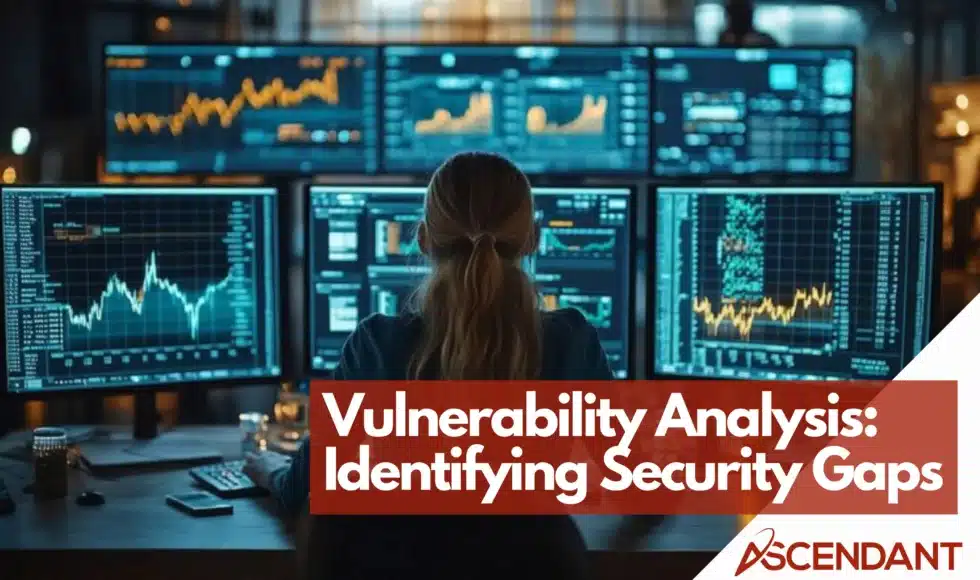 Vulnerability Analysis: Identifying Security Gaps