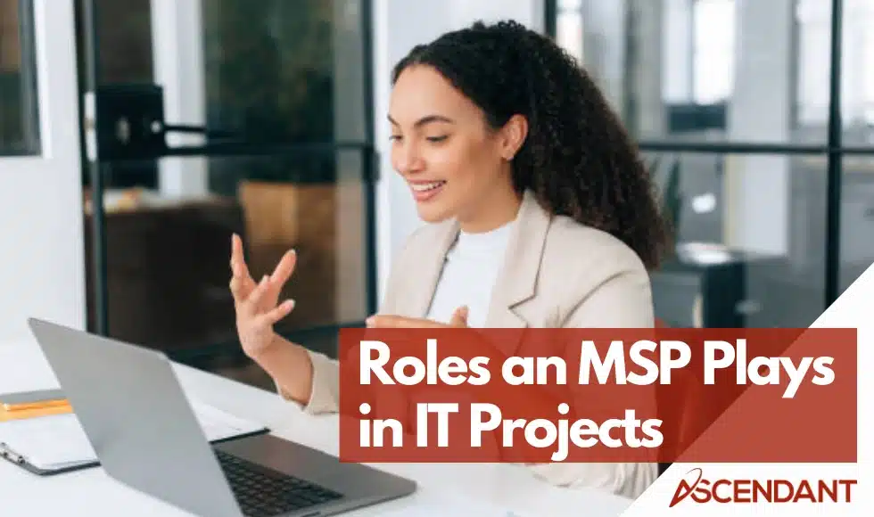 Roles and MSP Plays in IT Projects